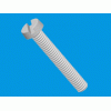 Slotted cheese head screw [536] (536032500002)